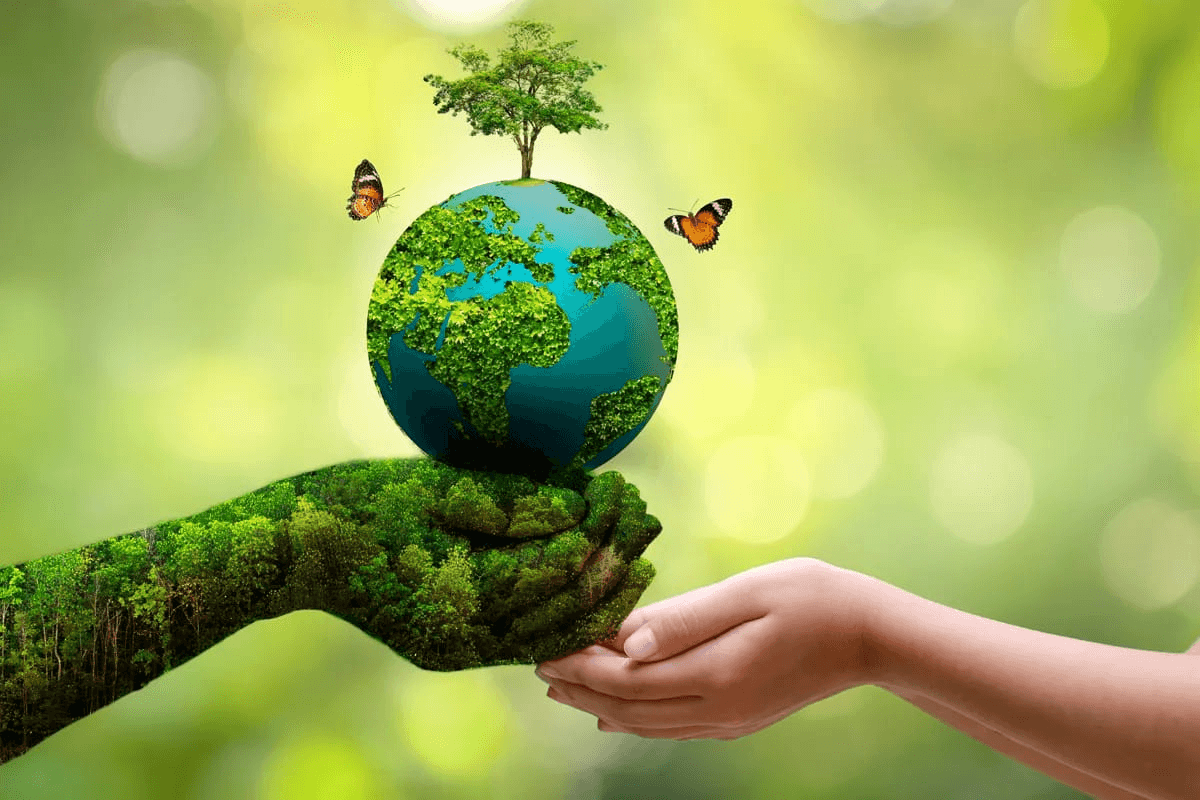 Environmental Sustainability