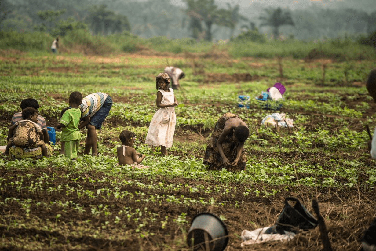 Livelihoods & Economic Empowerment